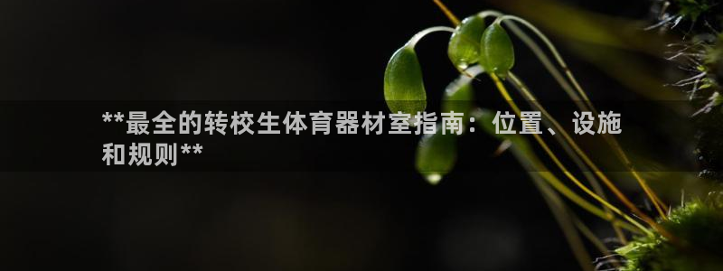 极悦官方网站app下载软件：**最全的转校生体育器材