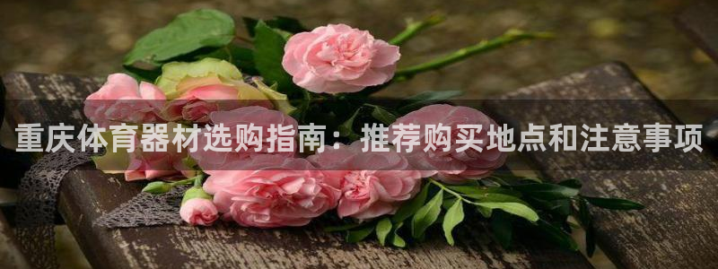 极悦平台官方网站首页下载：重庆体育器材选购指南：推荐