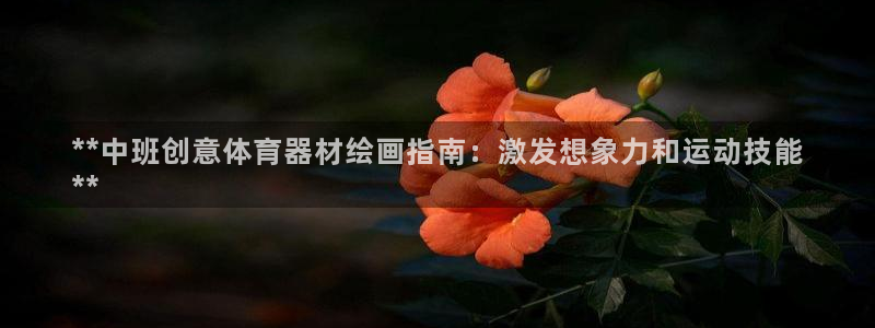 极悦娱乐代理多少钱：**中班创意体育器材绘画指南：激
