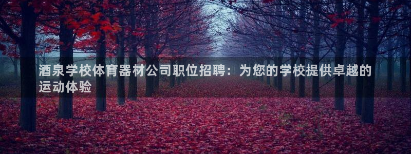 极悦平台德711.112的更新内容：酒泉学校体育器材