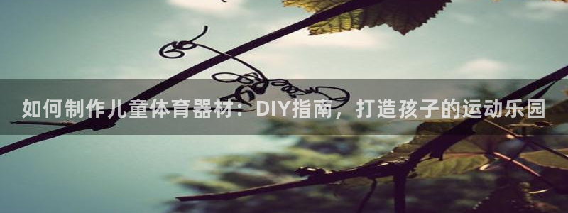 极悦平台：如何制作儿童体育器材：DIY指南，打造孩子