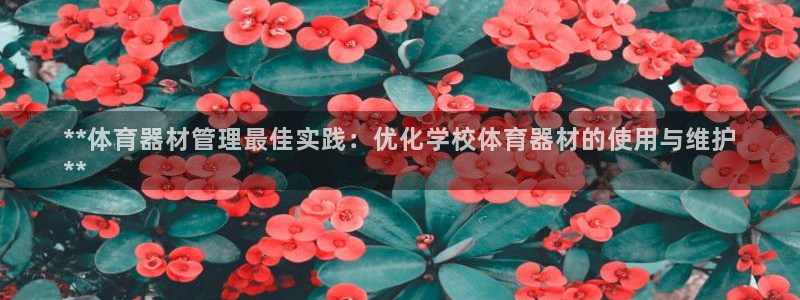 极悦平台注册官方网站下载：**体育器材管理最佳实践：
