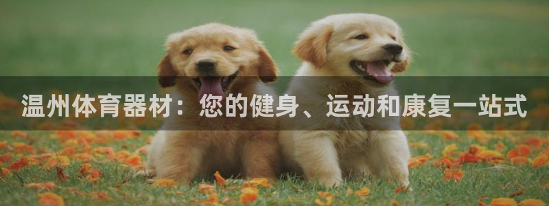 极悦平台注册的弊端及解决方法：温州体育器材：您的健身