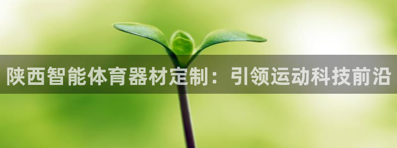 极悦平台决7O777：陕西智能体育器材定制：引领运动