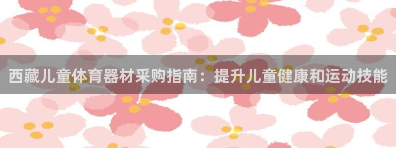 极悦娱乐代理人是谁：西藏儿童体育器材采购指南：提升儿