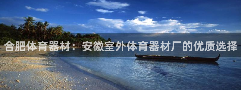 极悦平台登录方式是什么：合肥体育器材：安徽室外体育器