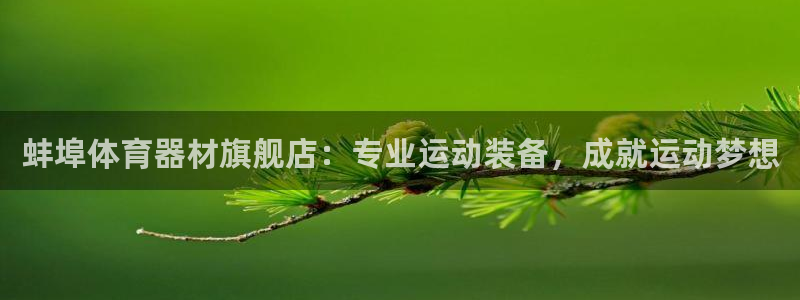 极悦平台登录不进去怎么回事呀：蚌埠体育器材旗舰店：专