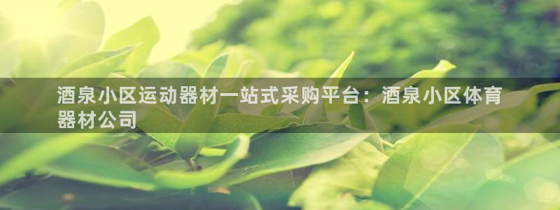 极悦娱乐代理人是谁啊：酒泉小区运动器材一站式采购平台