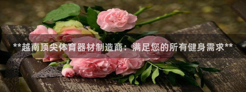 加盟极悦教育怎么样：**越南顶尖体育器材制造商：满足