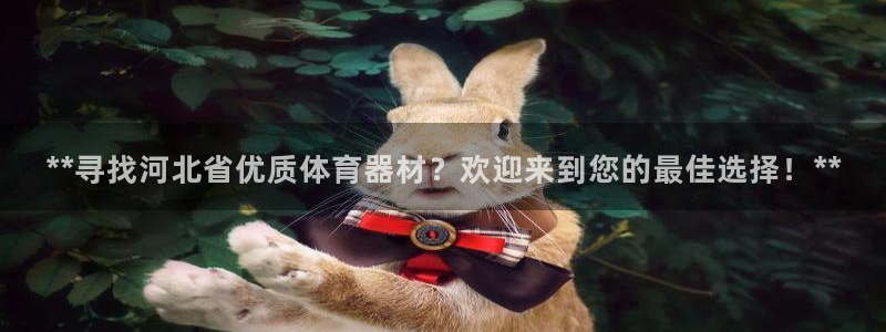 极悦娱乐代理怎么样啊：**寻找河北省优质体育器材？欢