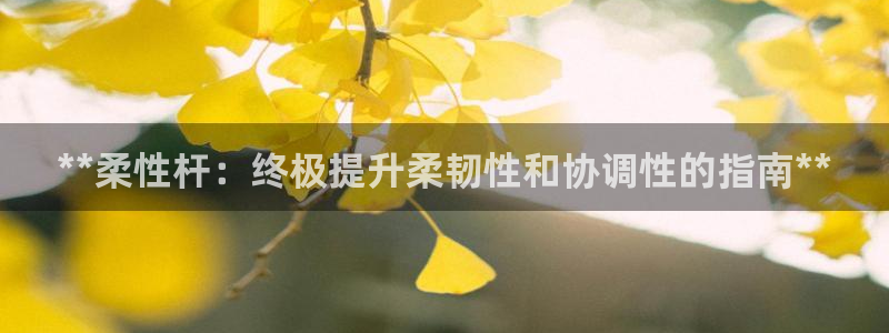 极悦平台平台注册方法与步骤是什么：**柔性杆：终极提