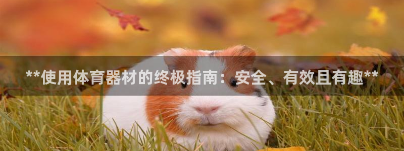 极悦娱乐代理人是谁啊：**使用体育器材的终极指南：安