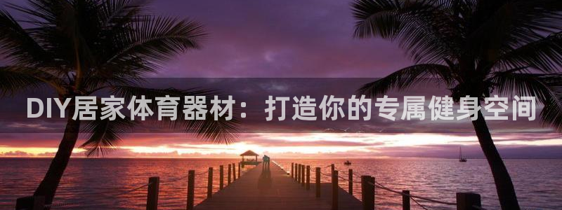 极悦益生菌猫粮怎么样：DIY居家体育器材：打造你的专