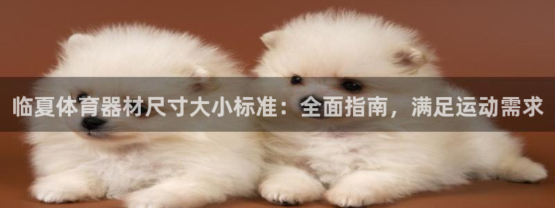 极悦平台是干嘛的软件：临夏体育器材尺寸大小标准：全面