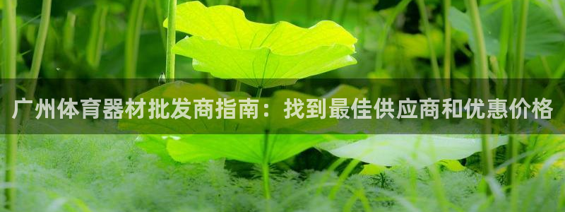 极悦平台注册失败如何解决呢：广州体育器材批发商指南：