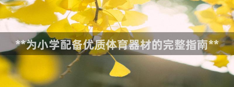 极悦娱乐代理多少钱一个月：**为小学配备优质体育器材