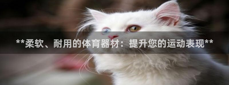 极悦平台注册申请流程详解图：**柔软、耐用的体育器材