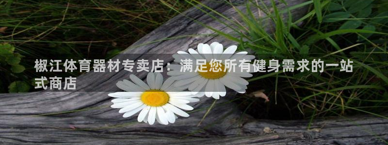 极悦平台有风险吗知乎：椒江体育器材专卖店：满足您所有