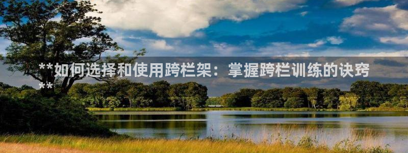 极悦平台注册用户名格式：**如何选择和使用跨栏架：掌