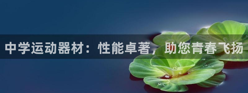 极悦娱乐官网下载安装：中学运动器材：性能卓著，助您青