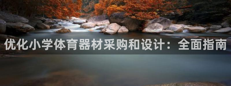 极悦娱乐的背景和历史背景：优化小学体育器材采购和设计