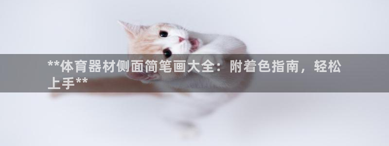 极悦平台登录不进去怎么回事呀：**体育器材侧面简笔画