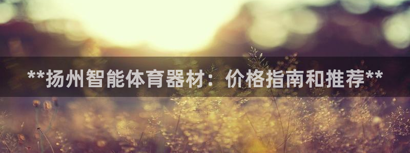 极悦娱乐代理人是谁啊：**扬州智能体育器材：价格指南