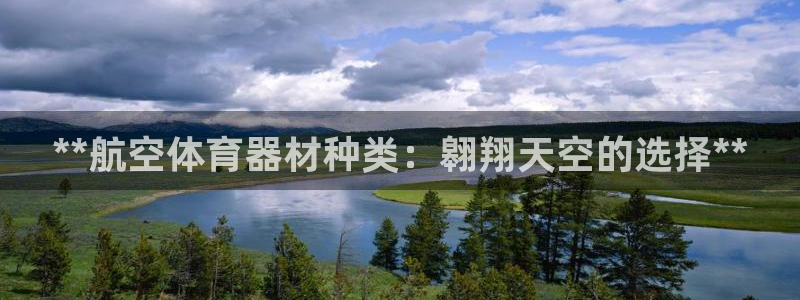 苏州极悦信息科技有限公司：**航空体育器材种类：翱翔