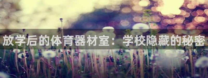 极悦平台与网易合作详情：放学后的体育器材室：学校隐藏
