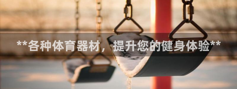 极悦平台用户评价在哪里看：**各种体育器材，提升您的