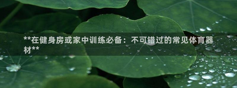 深圳极悦文化传媒有限公司：**在健身房或家中训练必备