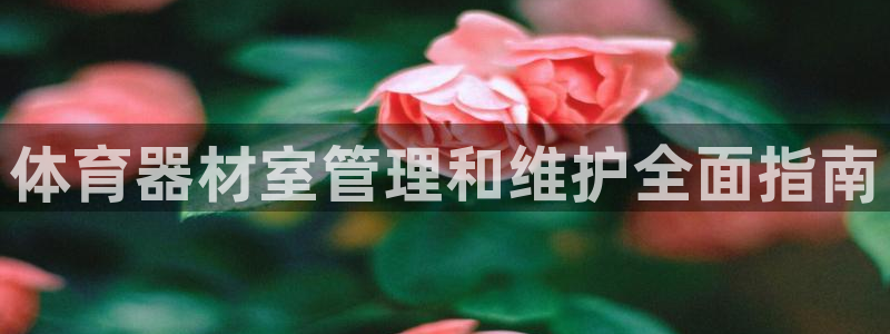 极悦平台官网入口网址：体育器材室管理和维护全面指南