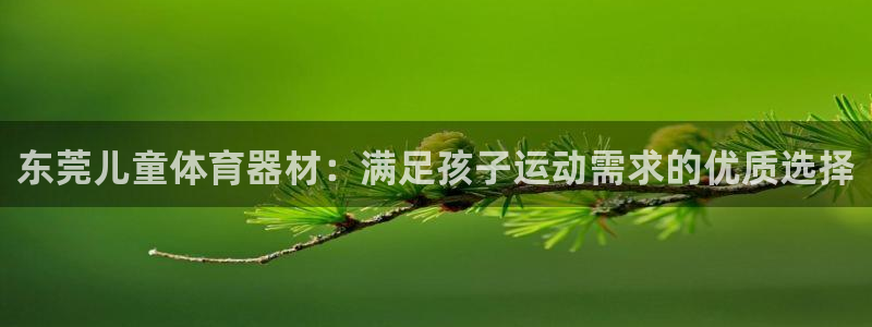 极悦平台登录方式有哪些：东莞儿童体育器材：满足孩子运