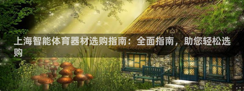 极悦官网首页登录入口网址：上海智能体育器材选购指南：