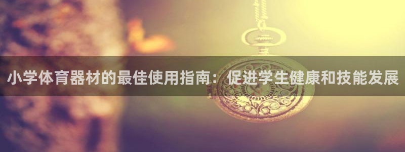 极悦平台代理怎么做的：小学体育器材的最佳使用指南：促