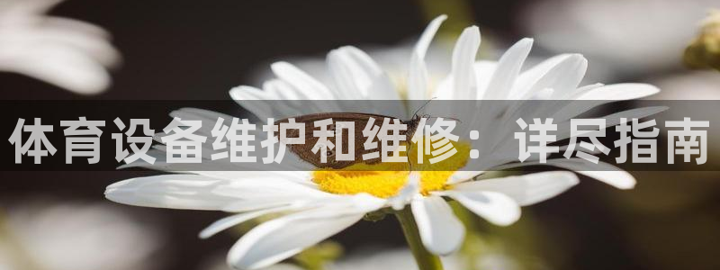 极悦平台股东名单：体育设备维护和维修：详尽指南