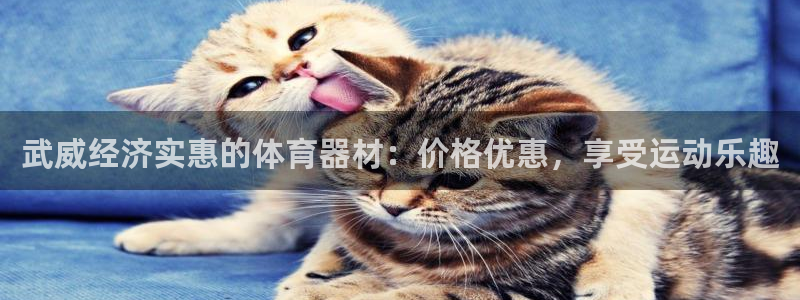 极悦平台客服团队名称：武威经济实惠的体育器材：价格优