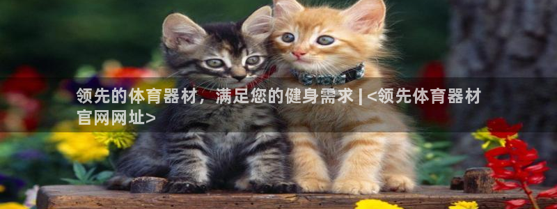 极悦娱乐官方网站首页：领先的体育器材，满足您的健身需