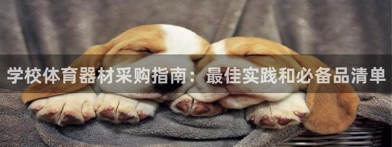 极悦平台注册登录：学校体育器材采购指南：最佳实践和必
