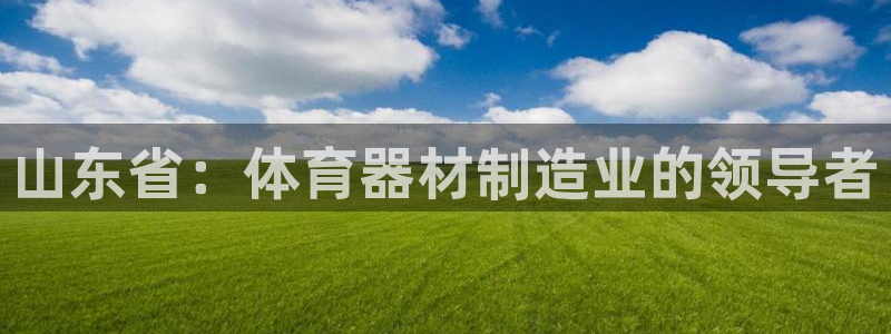 极悦平台注册用户名验证码是什么：山东省：体育器材制造