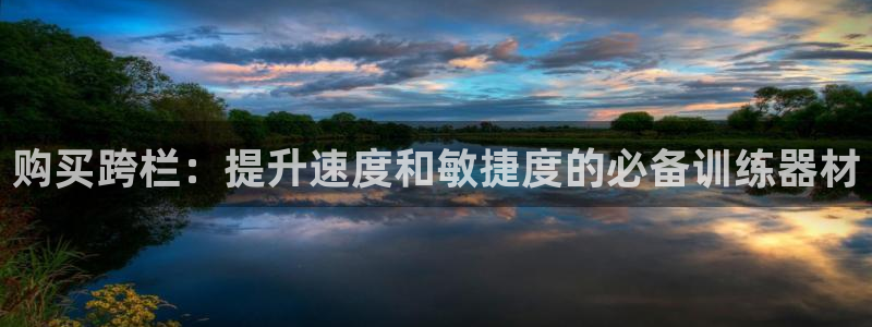 极悦娱乐百科百度贴吧：购买跨栏：提升速度和敏捷度的必