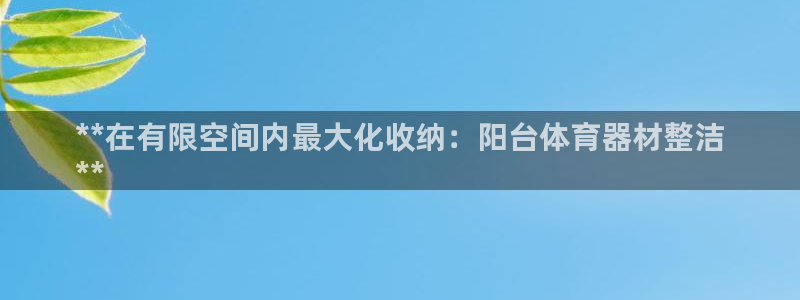 极悦娱乐旗下艺人名单：**在有限空间内最大化收纳：阳