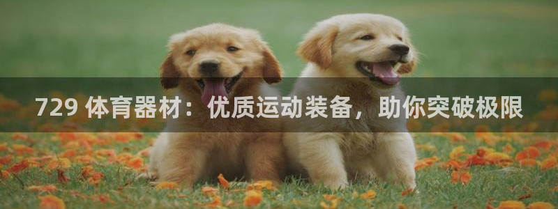极悦平台平台注册方法与步骤图：729 体育器材：优质
