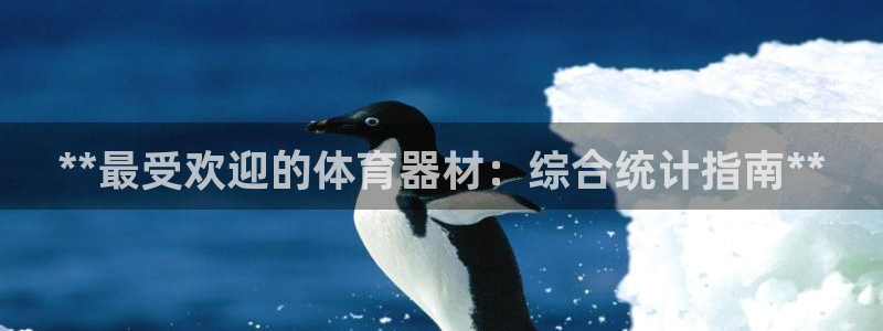 极悦平台app二维码怎么弄的：**最受欢迎的体育器材