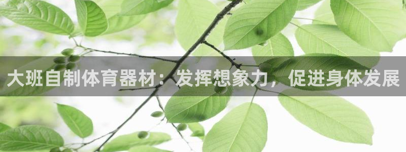 极悦平台注册和登录页面在哪：大班自制体育器材：发挥想