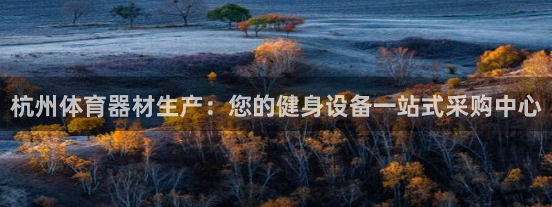 苏州极悦信息科技有限公司：杭州体育器材生产：您的健身