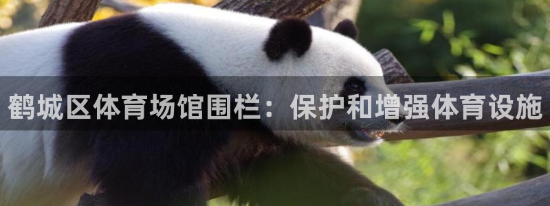 苏州极悦信息科技有限公司：鹤城区体育场馆围栏：保护和