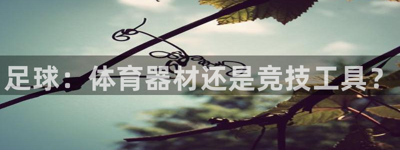 极悦娱乐app官方版本更新内容：足球：体育器材还是竞
