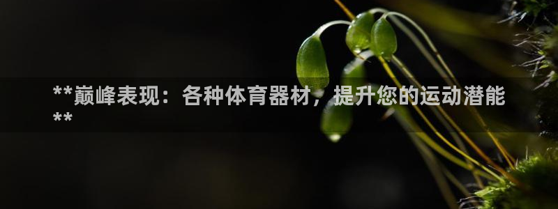 极悦官方网站入口网址大全：**巅峰表现：各种体育器材
