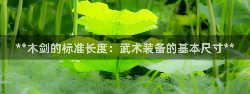 极悦官网旗舰店：**木剑的标准长度：武术装备的基本尺